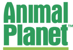 Animal Planet